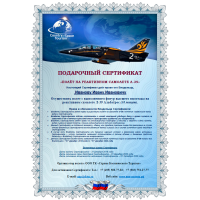Полет на реактивном самолете Л-39