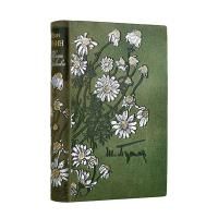 Книга Иван Бунин. Жизнь Арсеньева (офорты)