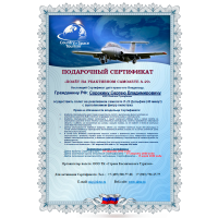 Полет на реактивном самолете Л-29