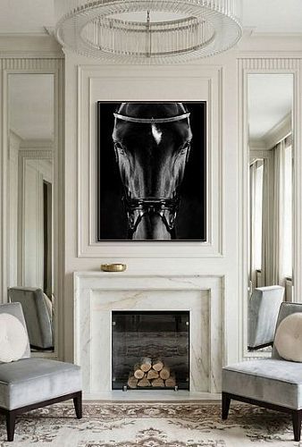 Художественная фотография "Portrait of Zonda / Портрет Зонды" IRINA KAZARIDI / ИРИНА КАЗАРИДИ