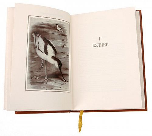 Книги Михаил Мензбир. Охотничьи и промысловые птицы Европейской России и Кавказа ЛАМАРТИС
