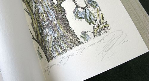 Книга Иван Бунин. Жизнь Арсеньева (офорты) ЛАМАРТИС