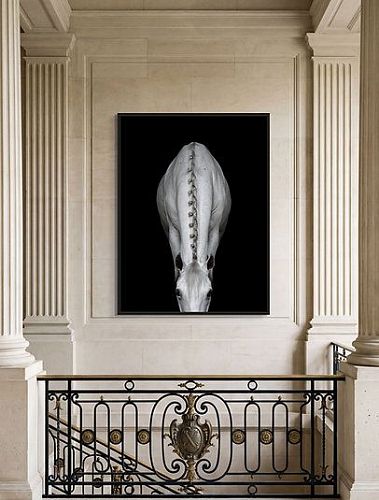 Художественная фотография "Sculpted in White / Скульптура из белого дерева" IRINA KAZARIDI / ИРИНА КАЗАРИДИ