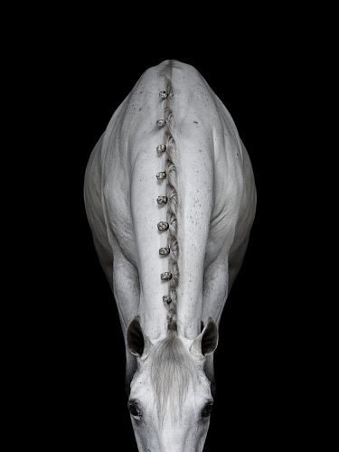 Художественная фотография "Sculpted in White / Скульптура из белого дерева" IRINA KAZARIDI / ИРИНА КАЗАРИДИ