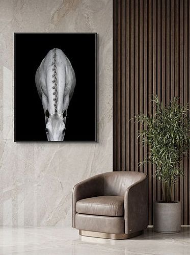 Художественная фотография "Sculpted in White / Скульптура из белого дерева" IRINA KAZARIDI / ИРИНА КАЗАРИДИ