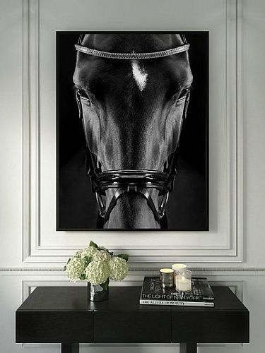 Художественная фотография "Portrait of Zonda / Портрет Зонды" IRINA KAZARIDI / ИРИНА КАЗАРИДИ