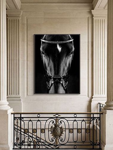 Художественная фотография "Portrait of Zonda / Портрет Зонды" IRINA KAZARIDI / ИРИНА КАЗАРИДИ