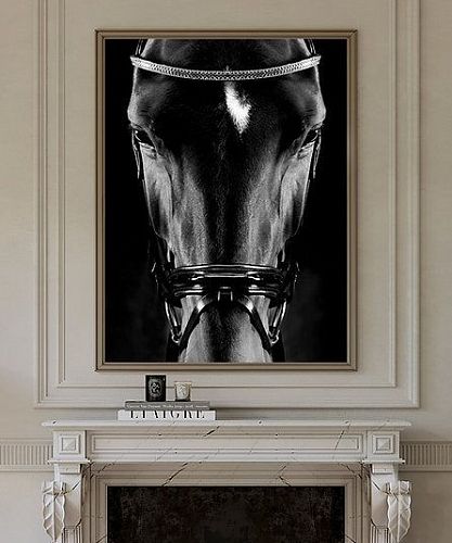 Художественная фотография "Portrait of Zonda / Портрет Зонды" IRINA KAZARIDI / ИРИНА КАЗАРИДИ