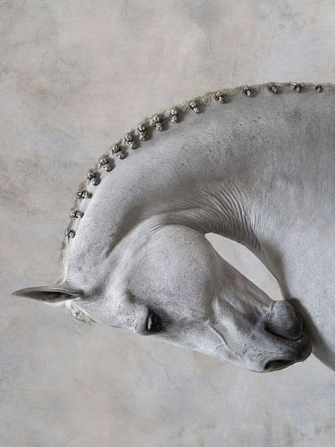 Художественная фотография "Portrait of Gadget / Портрет Гаджета" IRINA KAZARIDI / ИРИНА КАЗАРИДИ