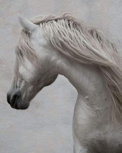 Художественная фотография "Ginés de Cacharel / Гинес де Кашарель" IRINA KAZARIDI / ИРИНА КАЗАРИДИ